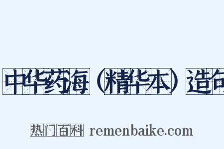 中华药海（精华本）造句是什么意思的图片